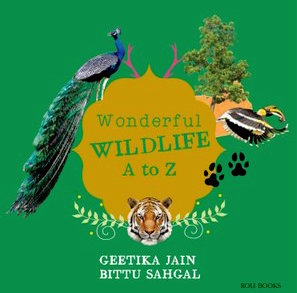 13177958_1048688875177608_7431625616002191041_n